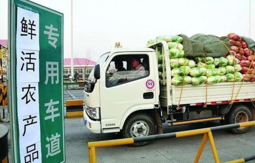 綠通車輛免高速收費的4個條件,你知道多少 最后一條很多人疏忽