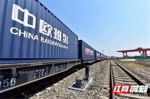貨運列車沒有疫情限制 中歐專列可保障國內奶粉市場需求