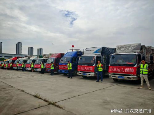 練戰(zhàn)結(jié)合 提升新區(qū)道路貨運(yùn)應(yīng)急運(yùn)力保障水平